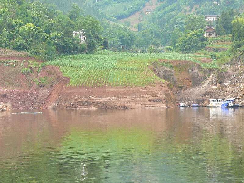 Yangtze River (081).jpg